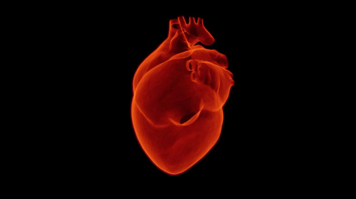 En la próxima década, 24 millones de personas en el mundo morirán por alguna enfermedad cardiovascular