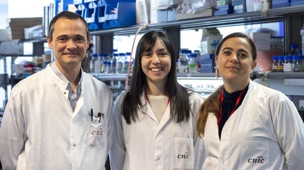 Adiponectina, la hormona que protege a las mujeres frente al cáncer de hígado