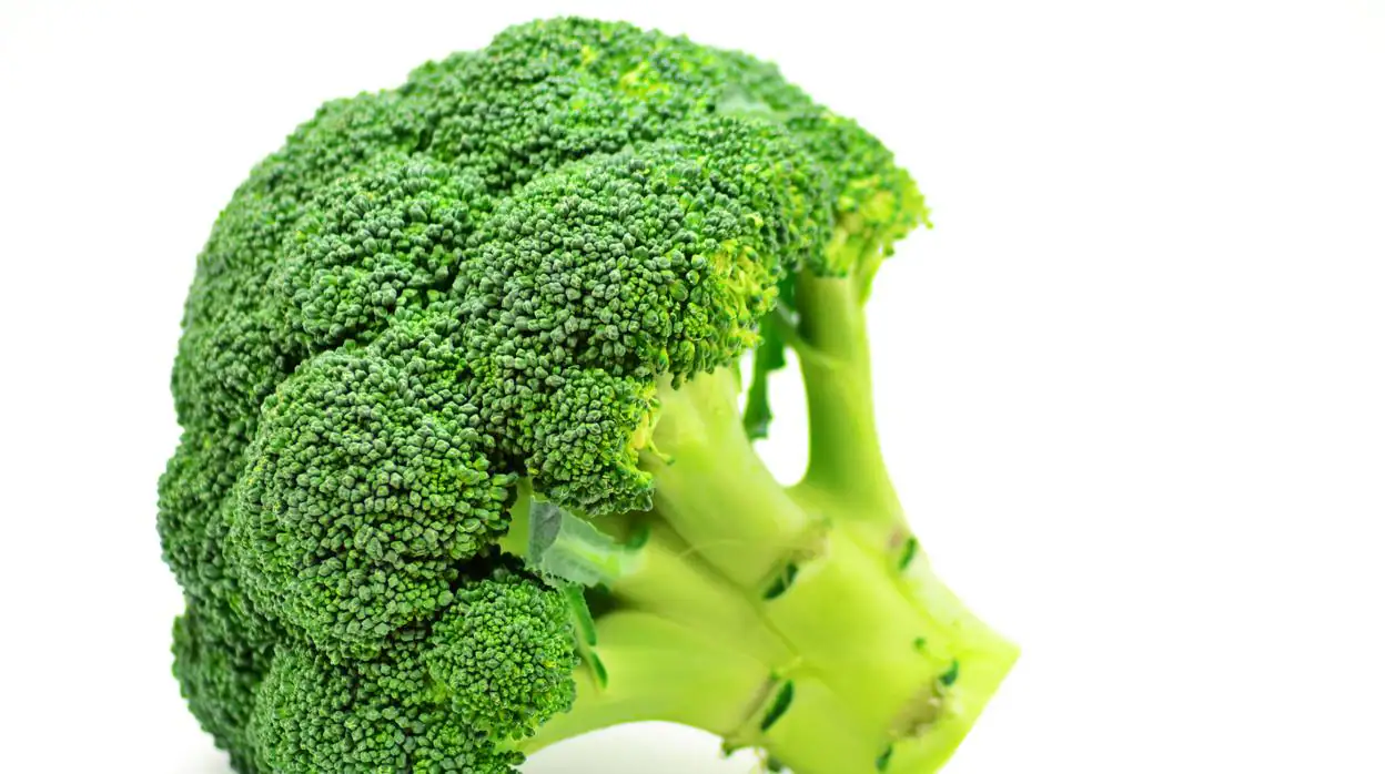 Coliflor, kale, coles de Bruselas y brócoli comparten un compuesto natural que inhibe la formación de tumores