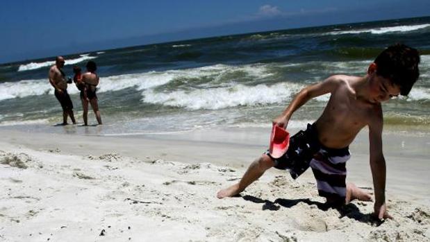 Así actúa la «bacteria come carne» que causa alarma en las playas de Florida