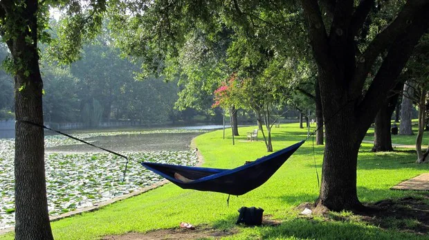 La siesta diurna una o dos veces por semana está relacionada con un menor riesgo de infarto o ictus