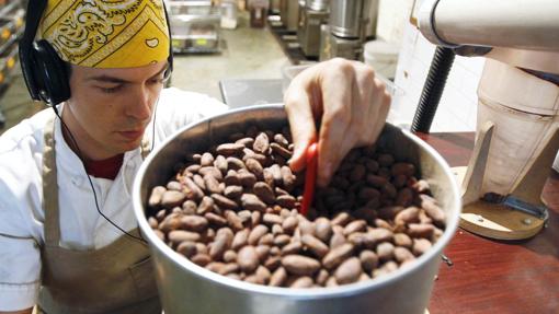 El consumo regular de cacao reduce la mortalidad global, pero especialmente la mortalidad cardiovascular