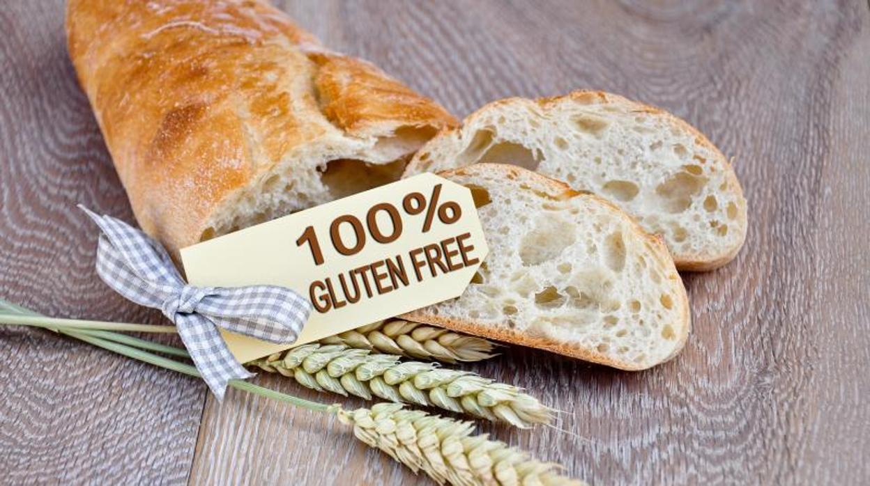 Los resultados del trabajo suponen un paso más en la reducción de gluten en productos de trigo o cebada