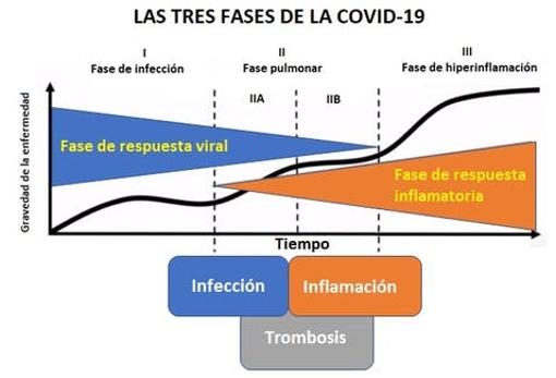 Las tres fases de la COVID-19. A medida que la enfermedad se agrava aumentan determinados parámetros analíticos como el dímero-D, indicador de la existencia de niveles anormales de fibrina y, por tanto, de trombosis