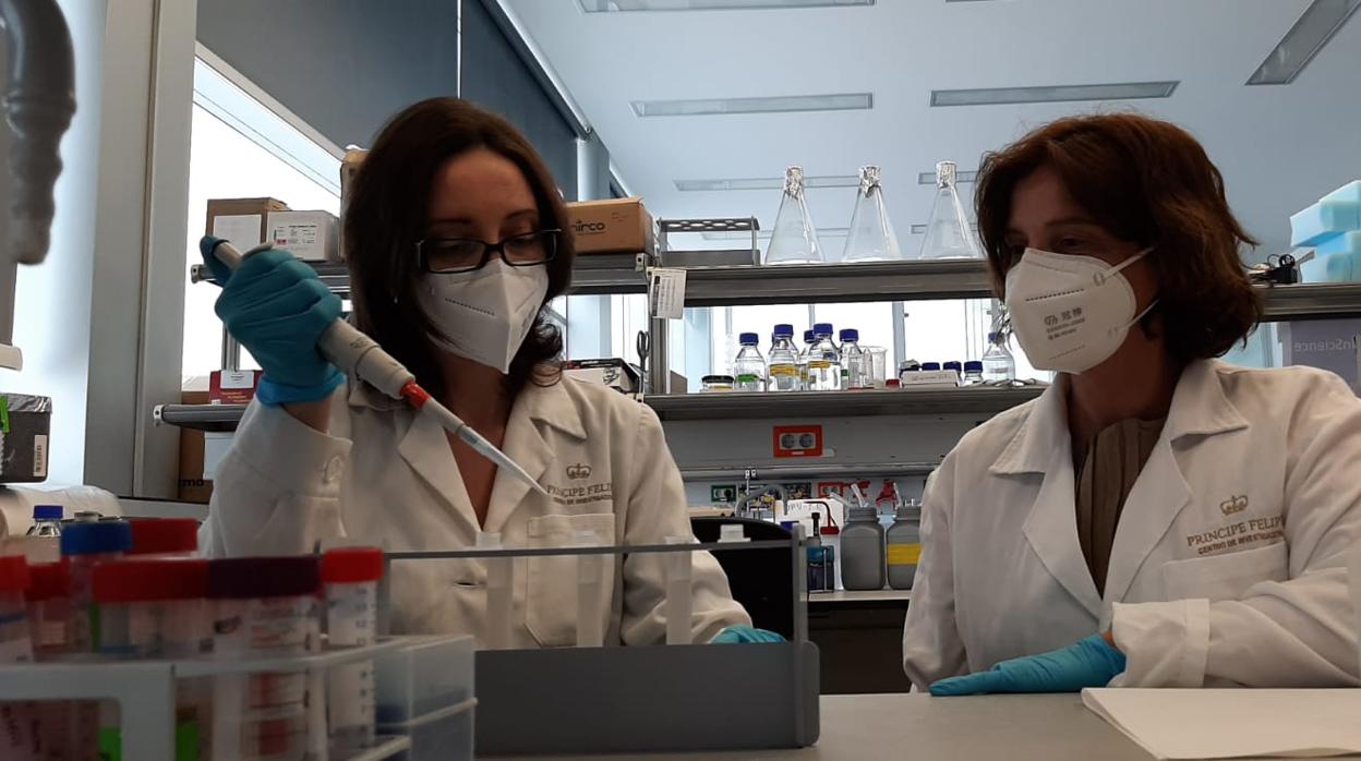 Mar Orzáez, investigadora principal del Laboratorio de Péptidos y Proteínas del CIPF