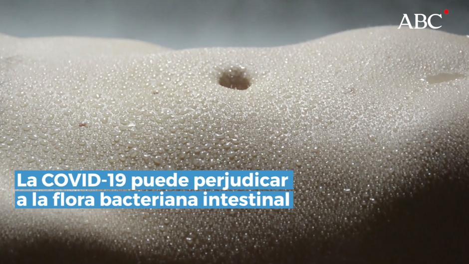 La flora intestinal, una aliada del organismo en la lucha contra el coronavirus