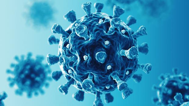 El extracto de algas que supera al remdesivir en el bloqueo del virus Covid-19