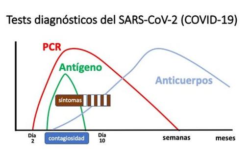 Test rápidos de antígeno para frenar la segunda ola de COVID-19