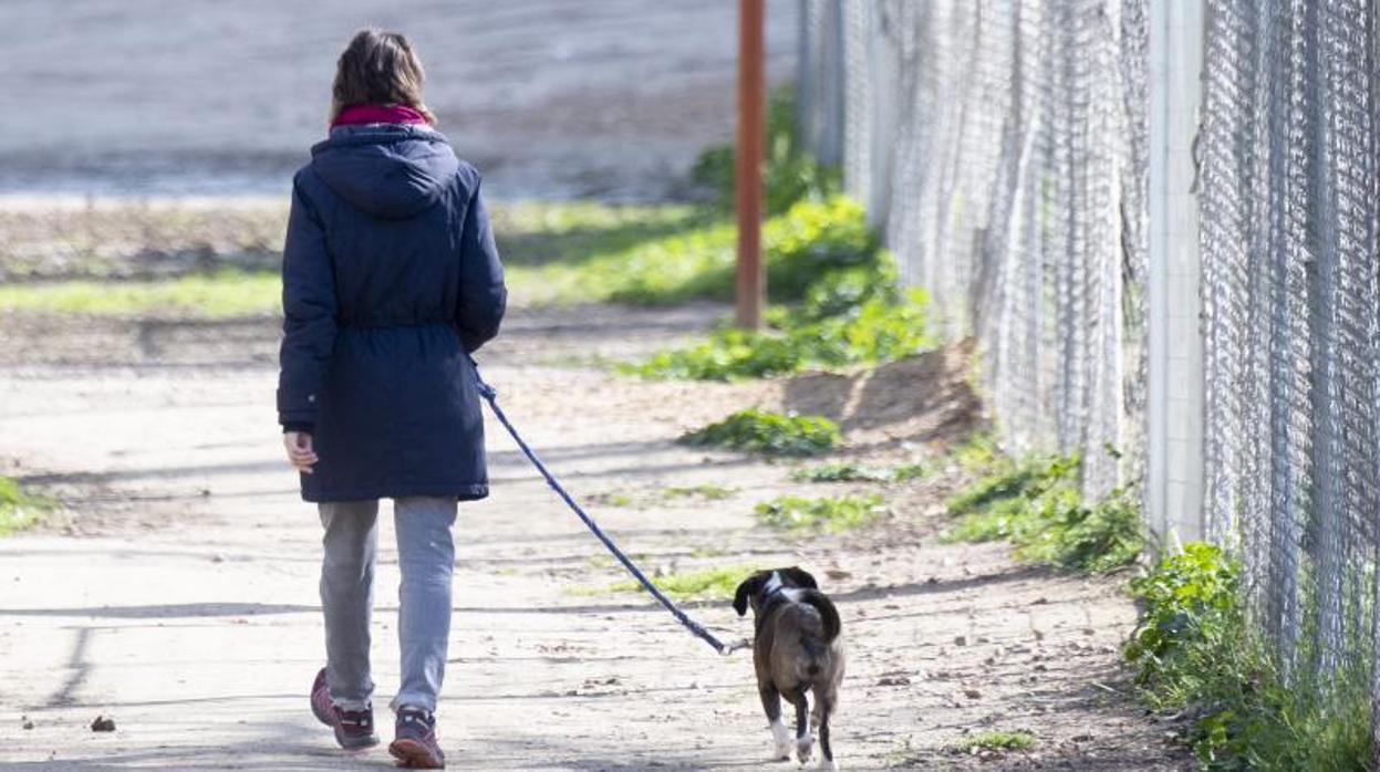 Vivir con un perro y la compra a domicilio, factores de riesgo para contraer el coronavirus durante el confinamiento, según un estudio