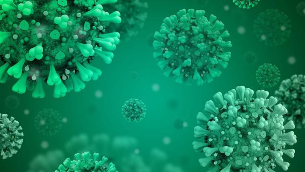 Algunas personas que no han sido infectadas tienen anticuerpos contra coronavirus