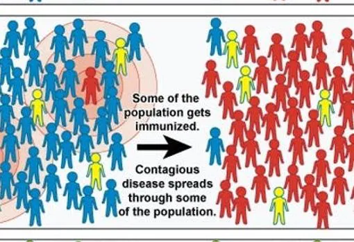 La imagen central muestra la llegada de la infección en una población con algunas personas previamente inmunizadas (amarillo) que hacen de contención débil y finalmente la expansión es muy grande