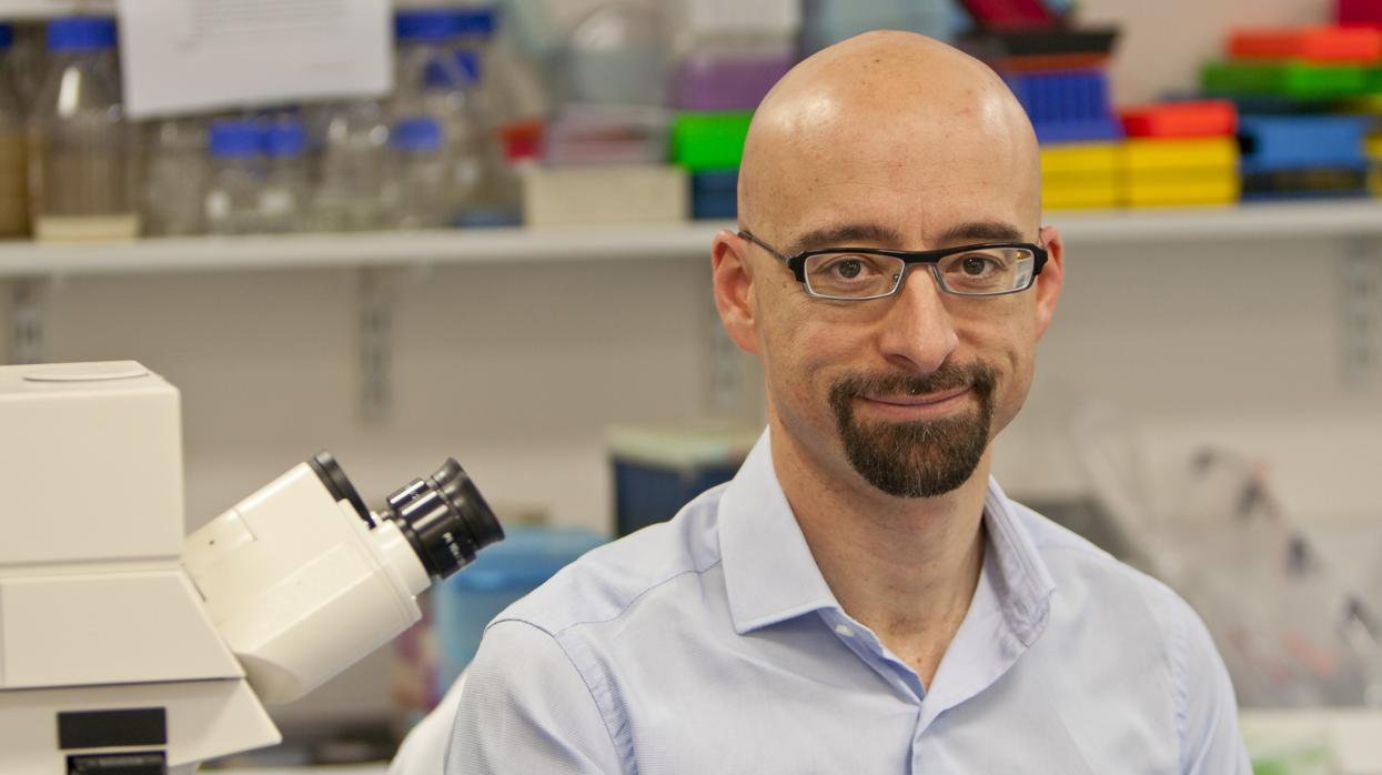 Salvador Macip investiga si el ayuno intermitente funciona en humanos igual en caminos