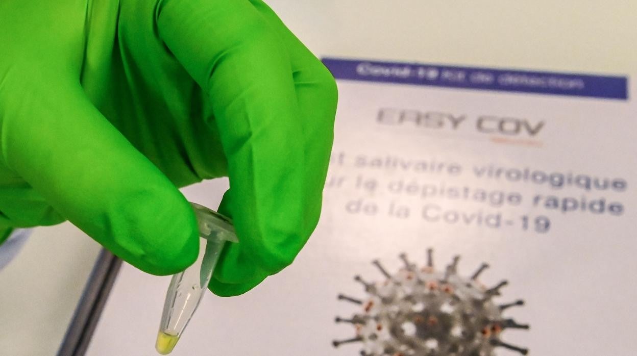 ¿Puede la vacuna de la COVID-19 infectarme con coronavirus?