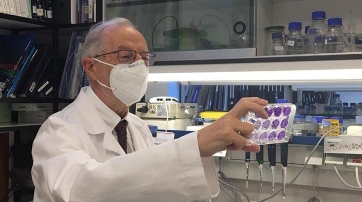 Luis Enjuanes, del Centro Nacional de Biotecnología (CNB-CSIC), en el laboratorio