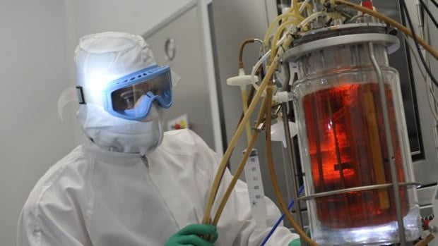 Un estudio español refuerza la idea de que las vacunas trabajan mejor en equipo