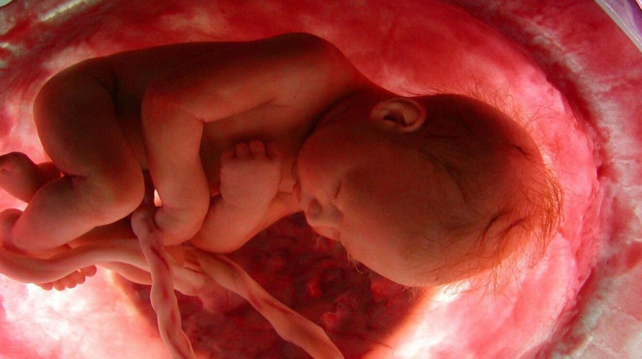 Casi todos los sistemas de órganos del cuerpo de la madre necesitan alterar su función durante el embarazo para que el bebé pueda crecer
