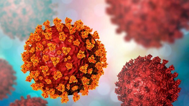 ¿Cuánto nos va a durar la inmunidad frente al coronavirus?