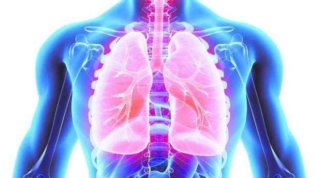 Estos son los síntomas del cáncer de pulmón, el tumor más mortal en España