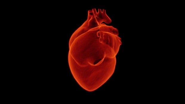No tener el VIH controlado aumenta el riesgo de muerte súbita cardíaca