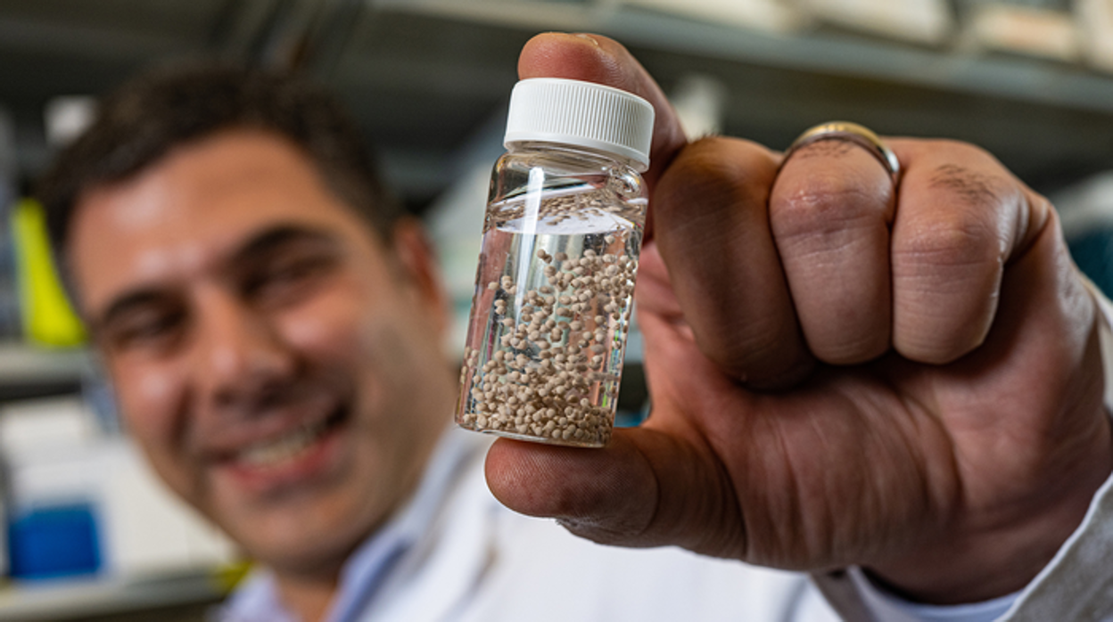 Omid Veiseh con un vial de implantes con forma de perlas que su laboratorio inventó para que sirvan como fábricas de medicamentos anticáncer