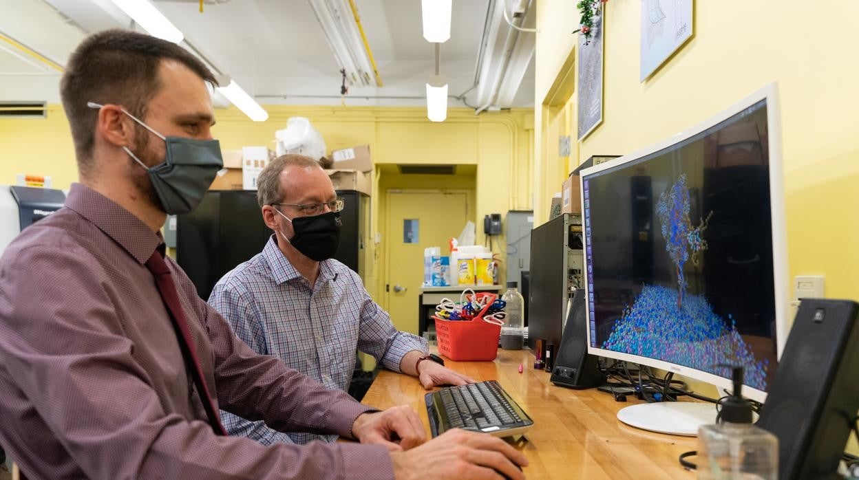 El autor principal Sebastian Himbert (izquierda) y el profesor Maikel Rheinstadter (derecha), en su laboratorio en la Universidad McMaster.