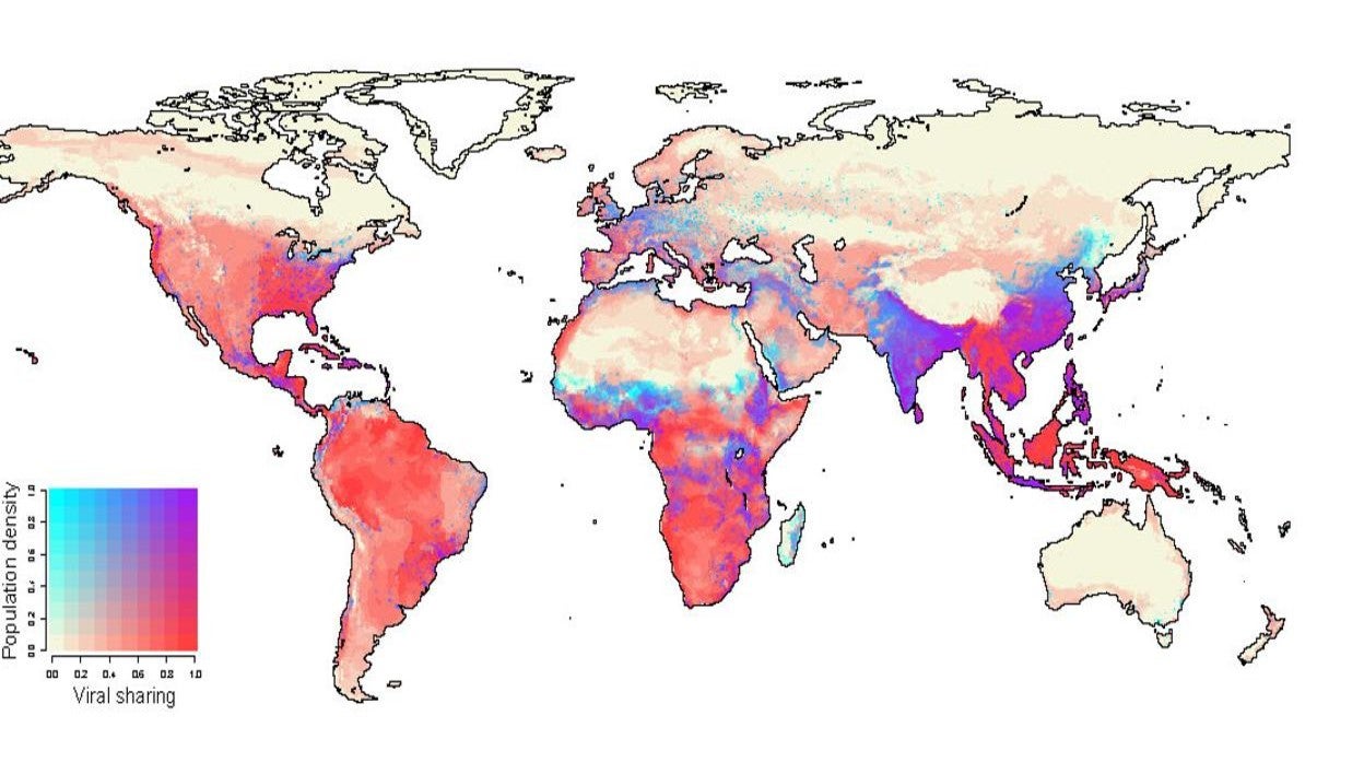 En 2070, los centros de población humana en África ecuatorial, el sur de China, India y el sureste de Asia se superpondrán con los puntos críticos proyectados de transmisión viral entre especies en la vida salvaje