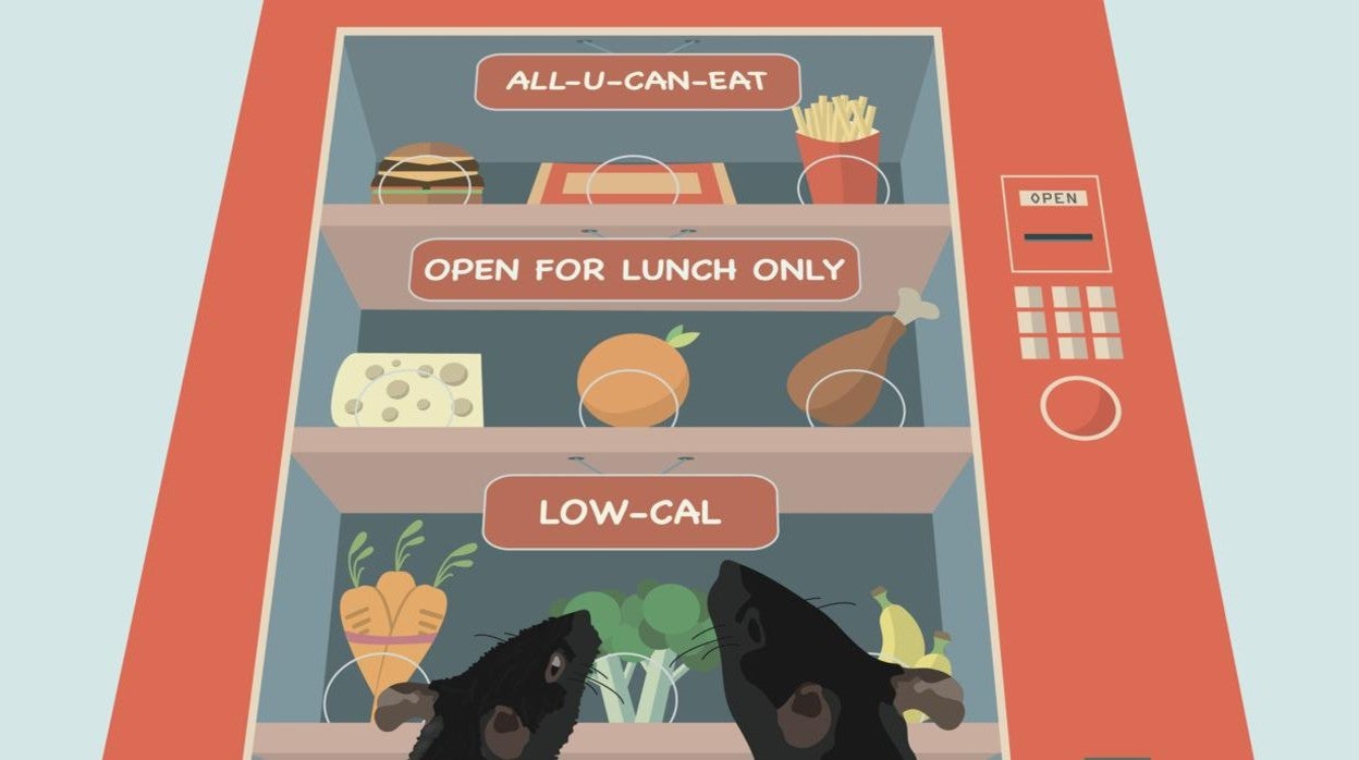 La receta para la longevidad es simple: comer menos y solo en las horas del día