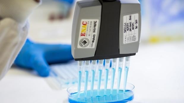 Las vacunas de ARNm son más eficaces contra las variantes preocupantes de Covid-19