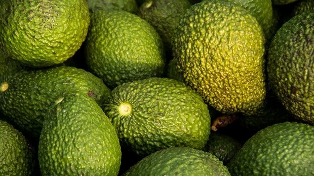 Estos son los efectos negativos de comer aguacate todos los días