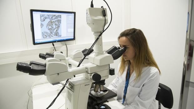 Metástasis, la última frontera del cáncer, ya tiene tratamiento