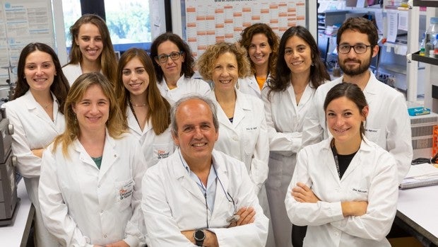 Investigadores españoles 'potencian' unas células inmunitarias frente al cáncer