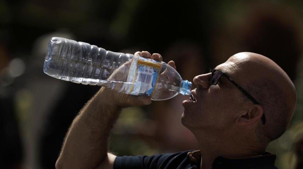 La mejor dieta para sobrevivir al calor