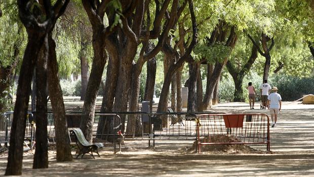 El parque Amate, sin agua incluso para las labores básicas