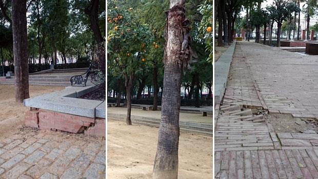 Imágenes que retratan la situación de abandono en la que se encuentran los Jardines del Prado