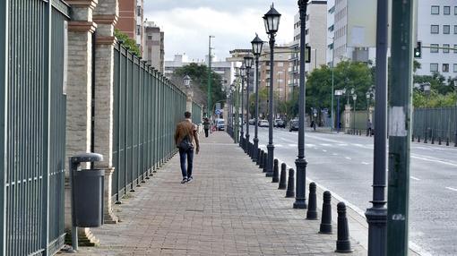 La avenida de la Buhaira, sin árboles