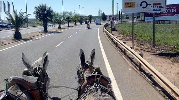 'Charo' y 'Chula' camino de Mérida