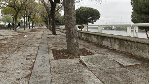 Estado de abandono en el que se encuentra el paseo Juan Carlos I