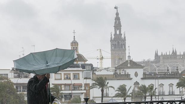 La Giralda, tras un hombre que se pelea con su paraguas