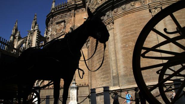 Coches de caballos en el entorno de la Catedral