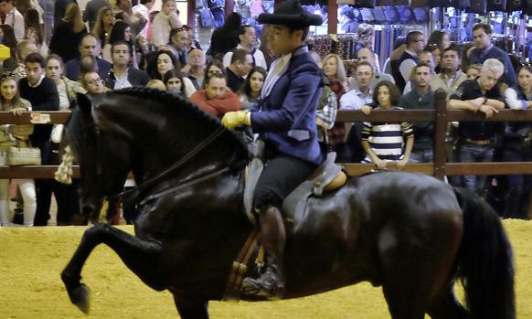 Imagen de un espectáculo ecuestre celebrado el sábado en Fibes