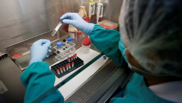 Un técnico sanitario analiza muestras de sangre para pruebas de tuberculosis