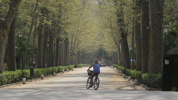 Una mujer pasea en bicicleta por el parque de María Luisa