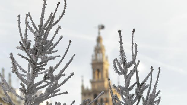 Sevilla alcanzará este sábado una máxima de 18 grados