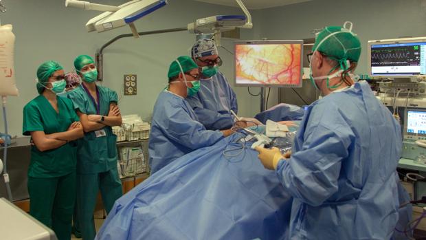 Momento de una operación de trasplante de riñón en el hospital Virgen del Rocío