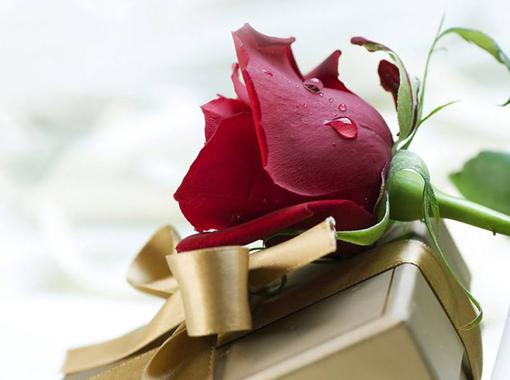 Bares y Flores, celebran amores. Las claves para un San Valentín perfecto