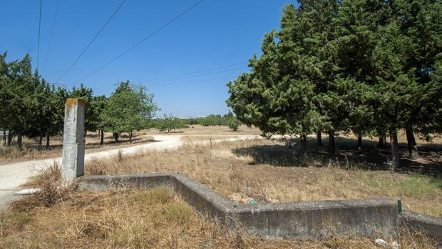 La agresión mortal se produjo en un lugar apartado de Torreblanca