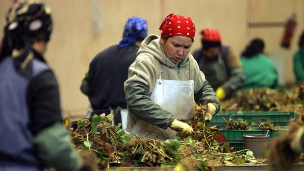 Mujeres trabajando