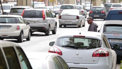 Un gorrilla espera entre los coches aparcados