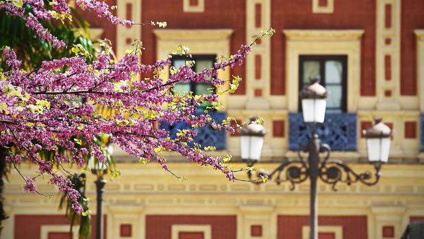 La primavera de este 2017 arrancará con tiempo de invierno