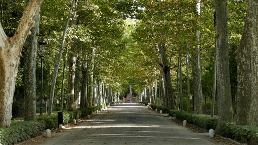 Una de las calles principales del Parque de María Luisa